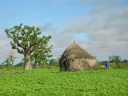 1175598_10201885901933078_310215790_n_10201885901933078