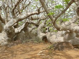 1175737_10201885903813125_147487325_n_10201885903813125