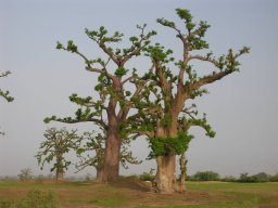 1229929_10201885899133008_1400996219_n_10201885899133008