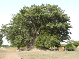 1230090_10201885908533243_1090225956_n_10201885908533243