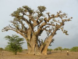 1236219_10201885907213210_452889660_n_10201885907213210