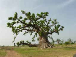 226632_10201885900813050_1143233262_n_10201885900813050