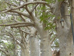 263579_10150255126774901_3346644_n