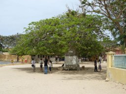 271070_10150255126444901_7717422_n