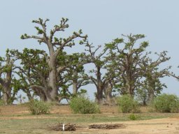 283892_10150259148629901_4107282_n