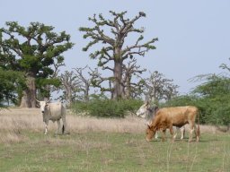 284445_10150259147939901_1851772_n