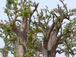 526882_10201885908373239_390992370_n_10201885908373239