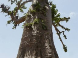 543922_10201885904573144_1795686668_n_10201885904573144