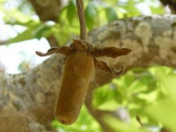 9f7cad1d-22f6-43c9-8056-b05318816bba